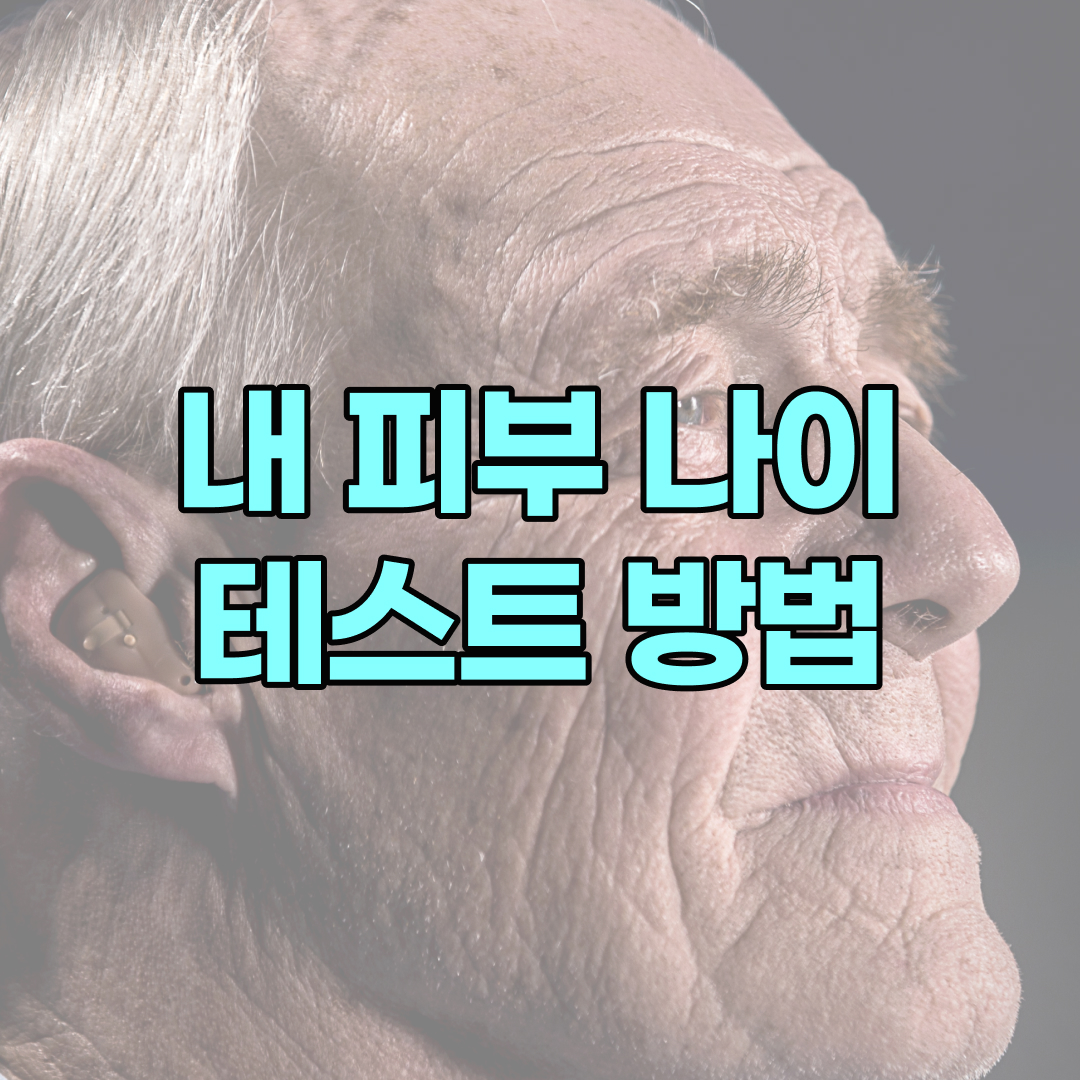 피부 나이 테스트