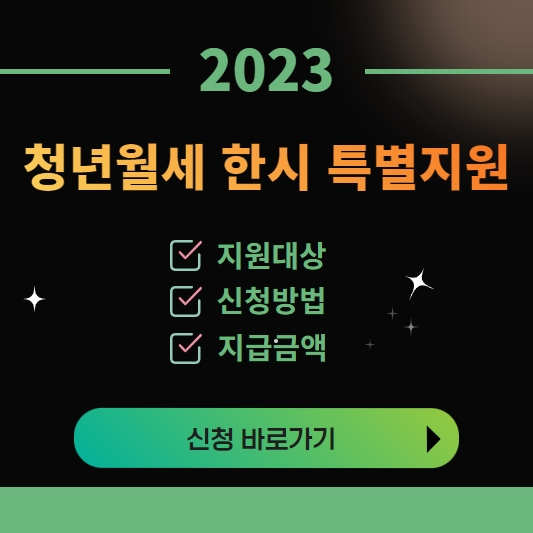 청년월세 한시 특별지원