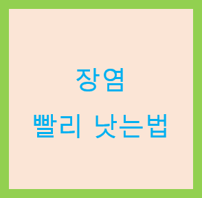 장염-빨리-낫는법