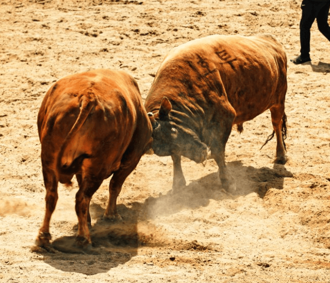 경남 축제 일정