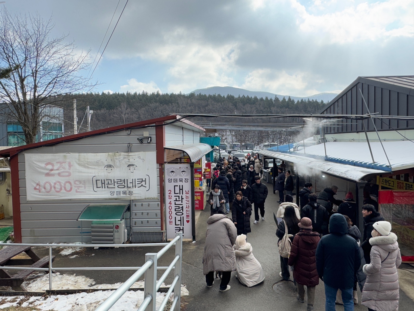 대관령