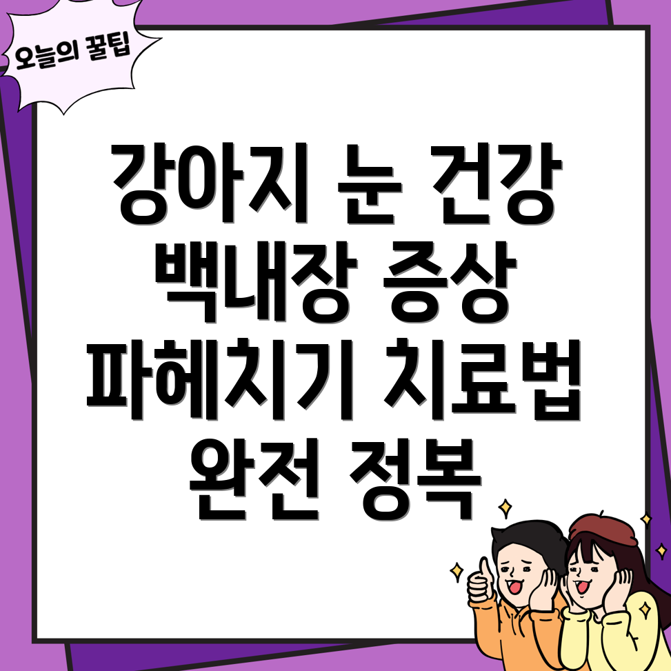 강아지 백내장