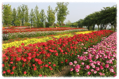 순천만 국가정원 추천 코스