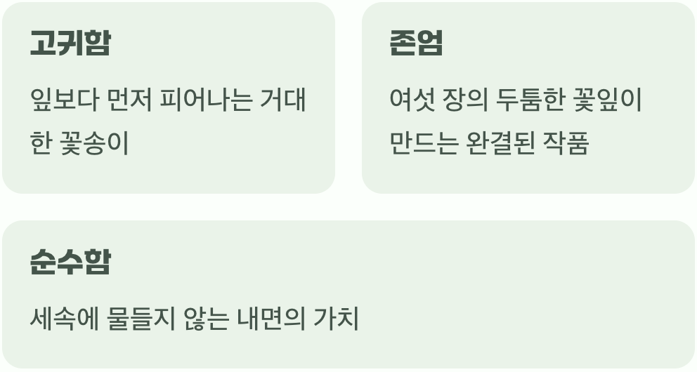 하늘을 향한 순백의 기도&amp;#44; 고귀함