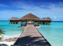 고양이가 무릎에서 자는 이유는?