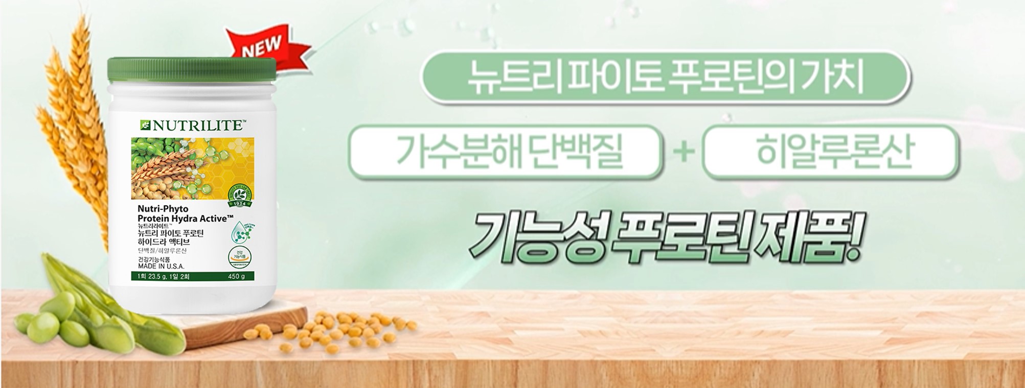 단백질