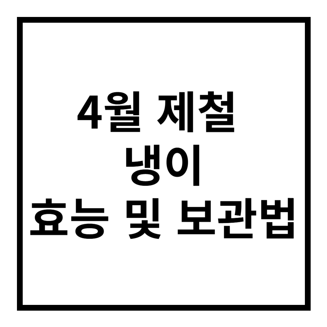 냉이 효능 및 보관법