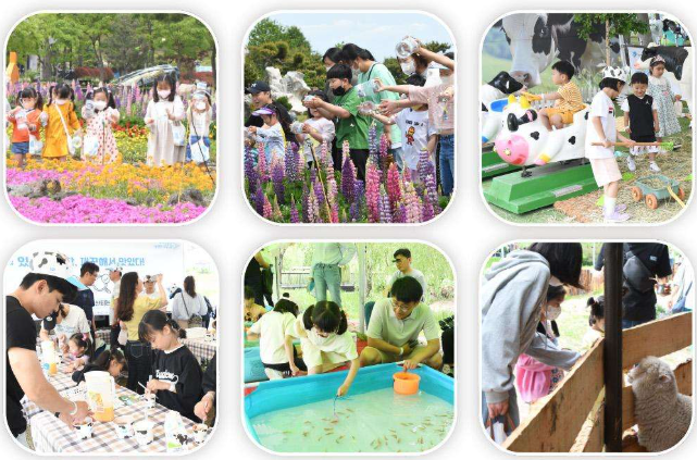 2025. 함평나비축제