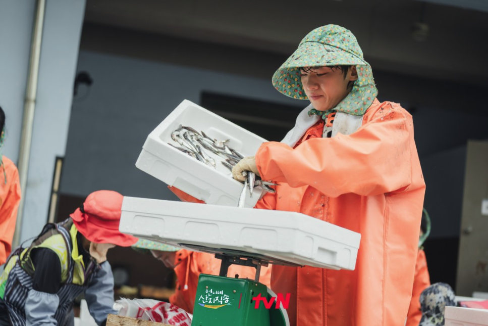 덱스 멸치 털이