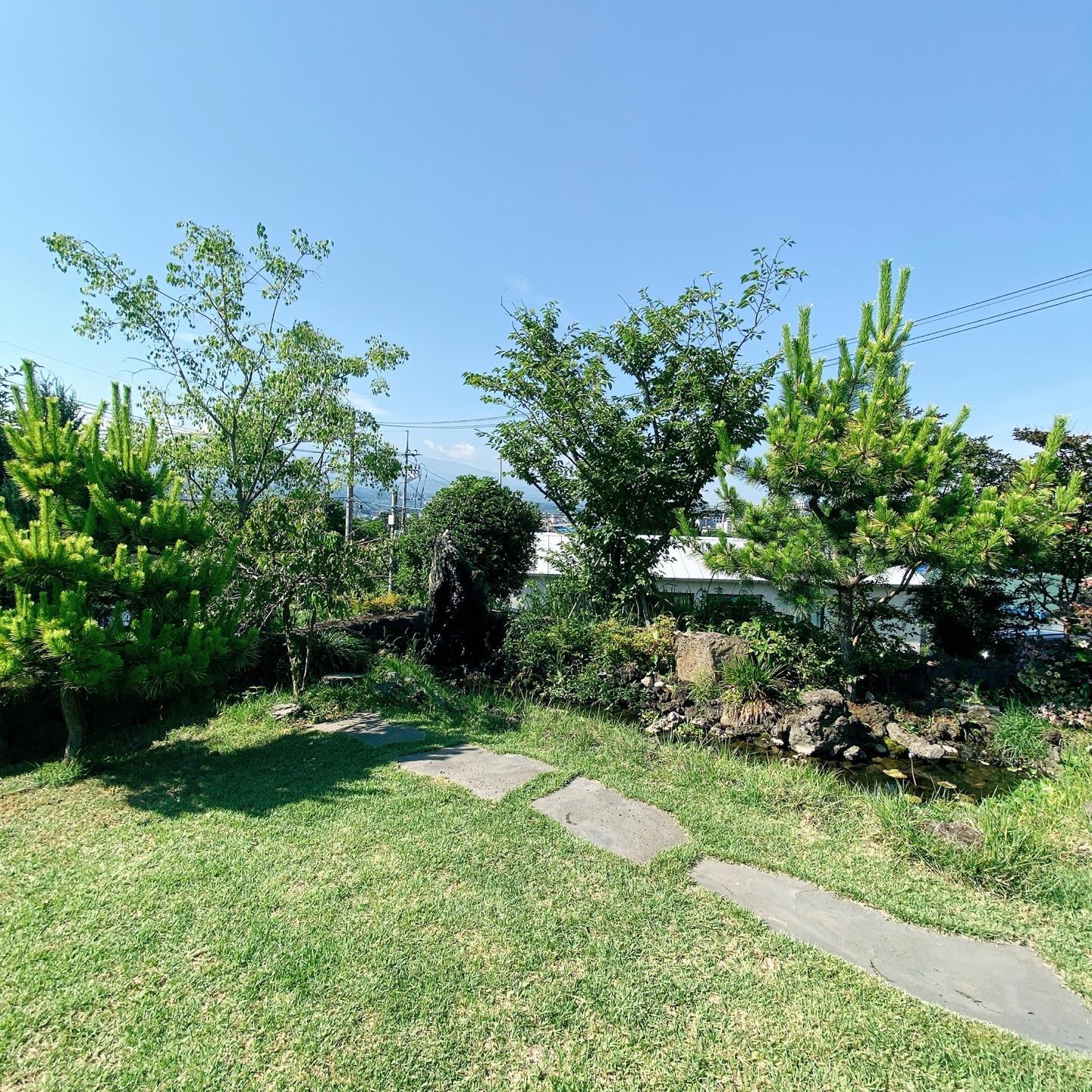 제주 서귀포 블라썸 꽃이피다 카페 인생샷 맛집