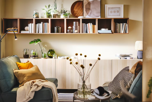 신세계 백화점 스토어 행사, 대전 IKEA