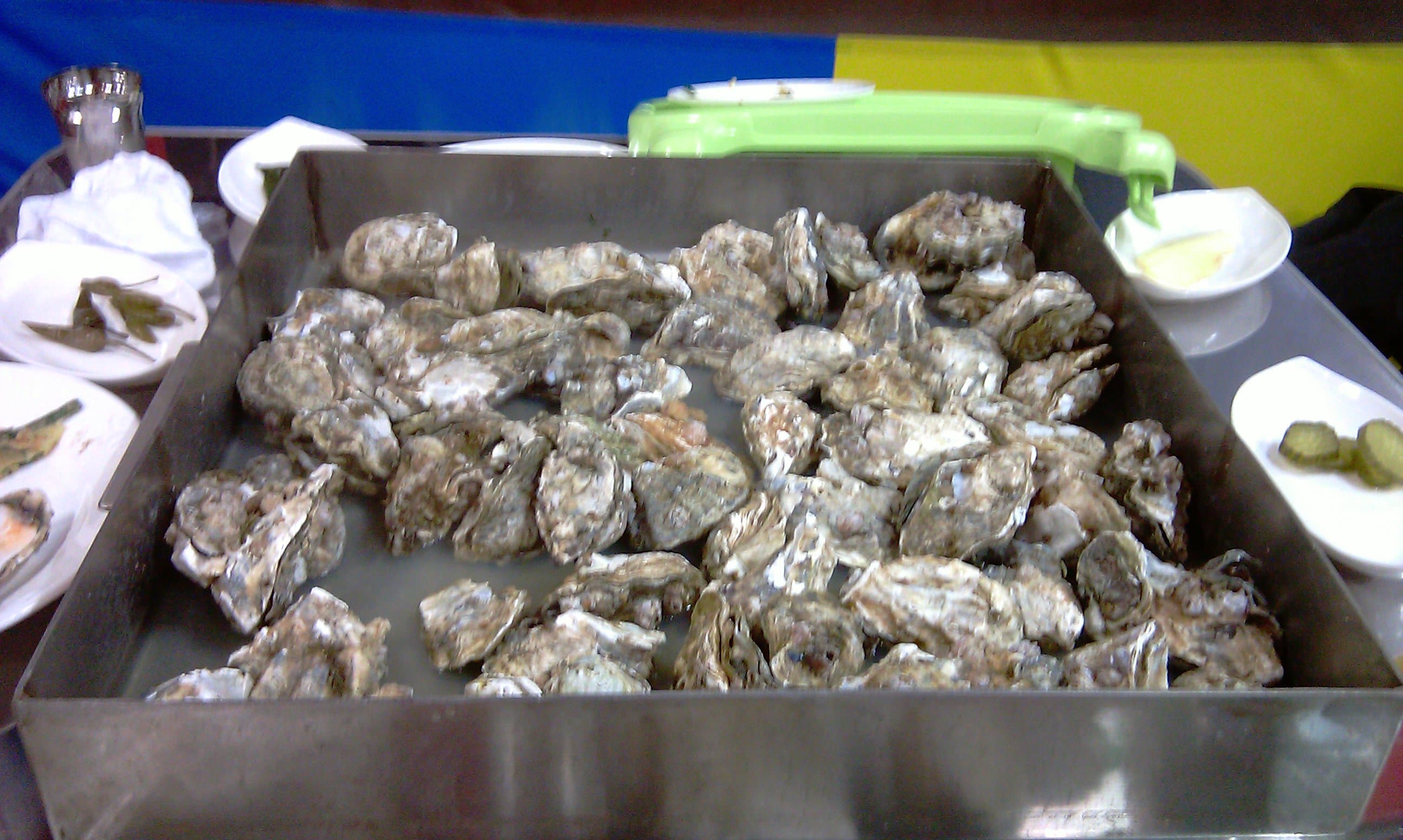 구이통 속 굴구이