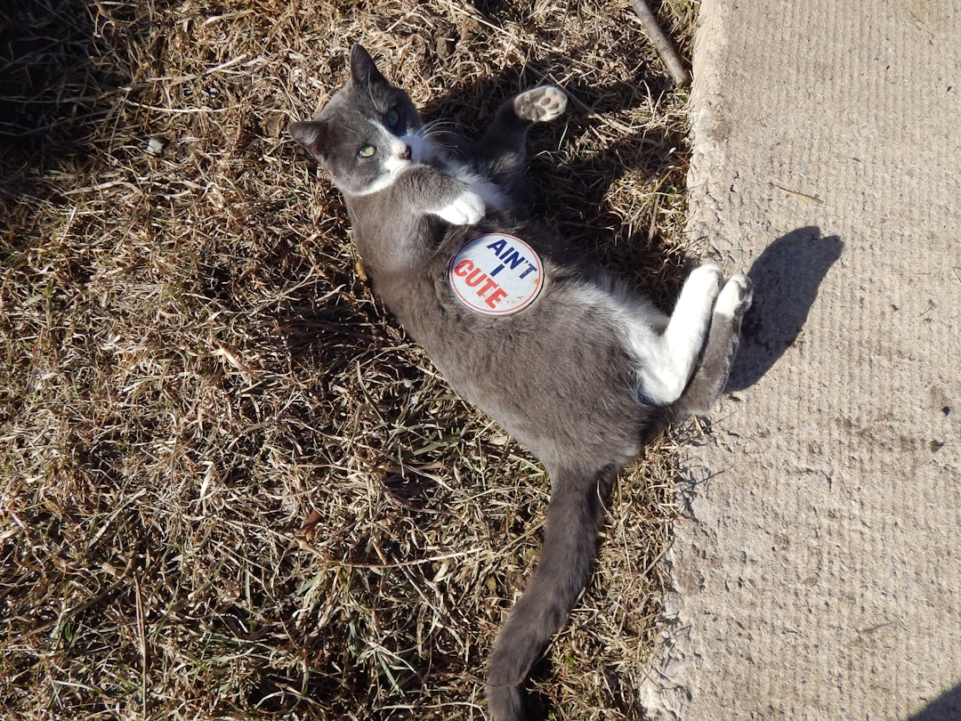 Candidate