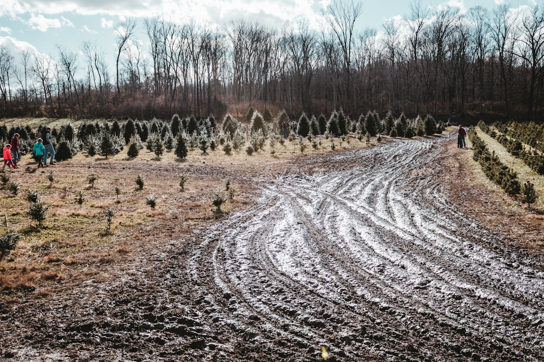 Mud