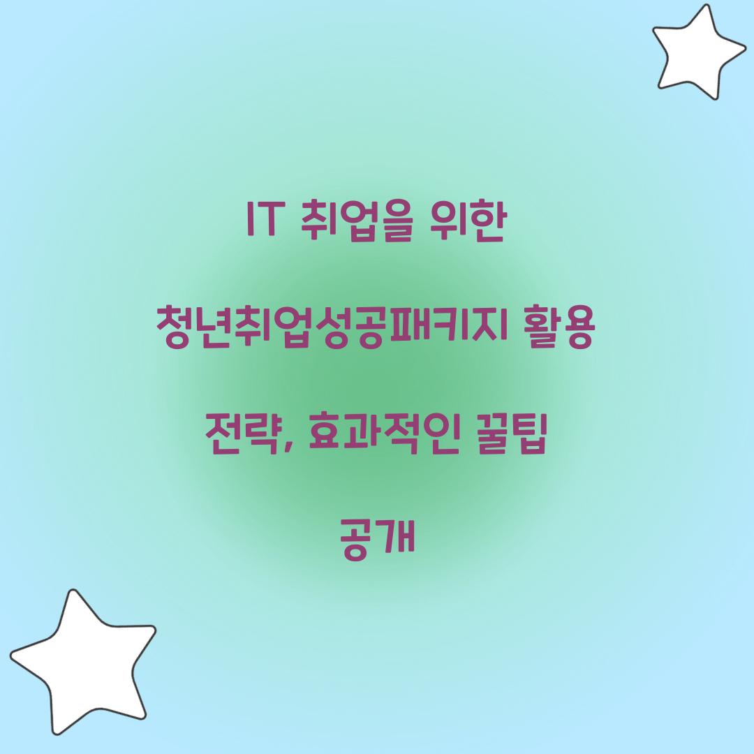 IT 취업을 위한 청년취업성공패키지 활용 전략
