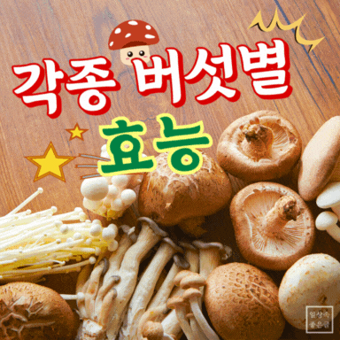 버섯 종류와 효능 정리 &ndash; 면역력 강화와 항암 효과 있는 각종 버섯 사진
