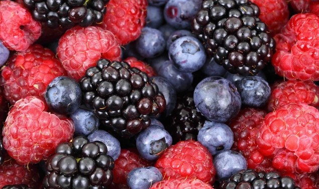 암예방, 치매예방에 도움이 되는 만성염증 제거, 만성염증에 좋은 음식 추천(만성 염증 없애는 음식)