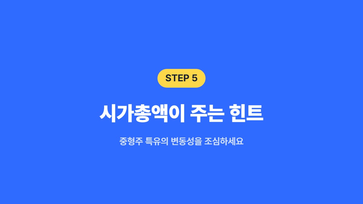 시가총액이 주는 힌트 — 중형주 특유의 변동성을 조심하세요