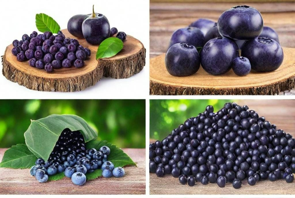 아사이베리와 블루베리