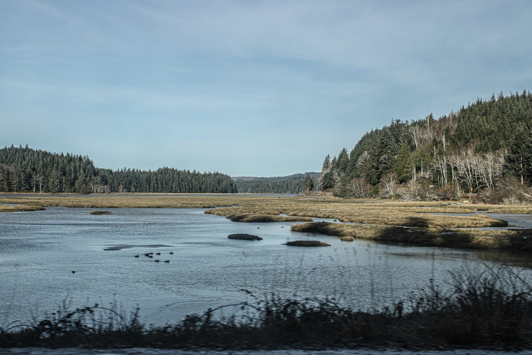 land