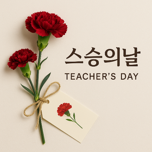 감동과 센스를 한 번에! 예산별 스승의날 선물 추천 리스트