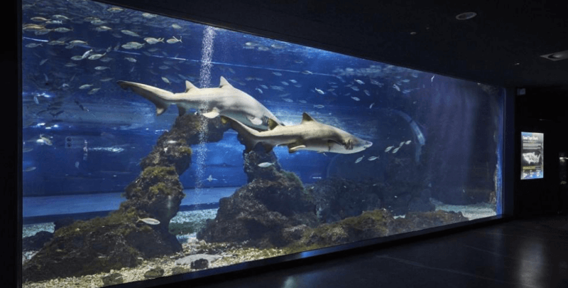 아쿠아-플라넷-제주