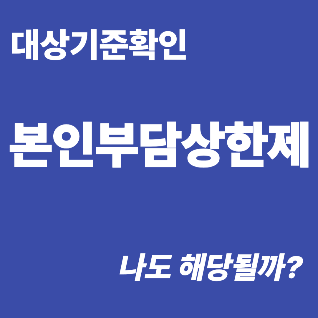 본인부담상한제 대상 확인