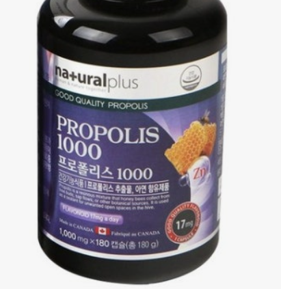 프로폴리스 효능