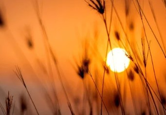 1월1일 해뜨는 시간