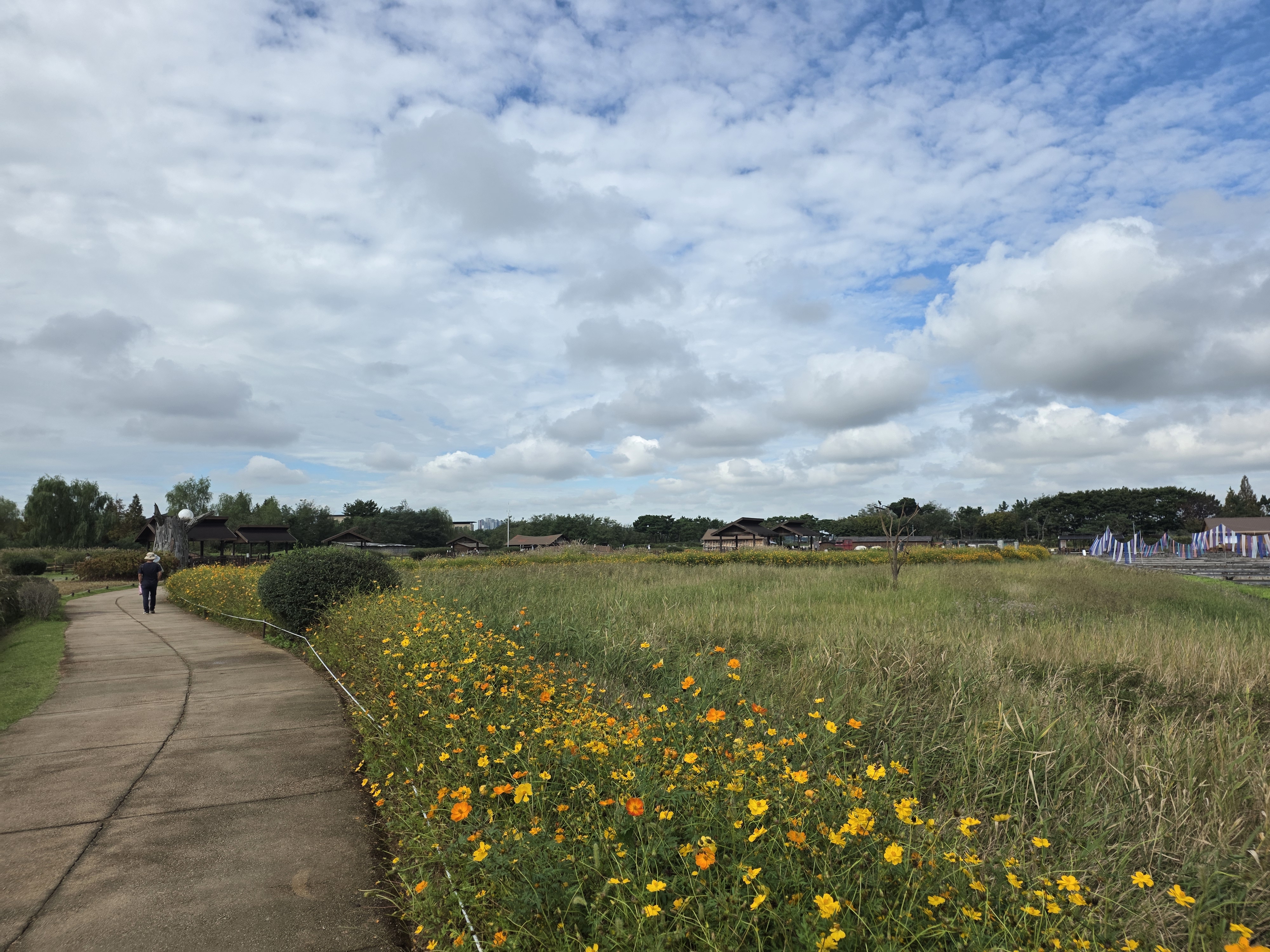 갯골생태공원 in 시흥