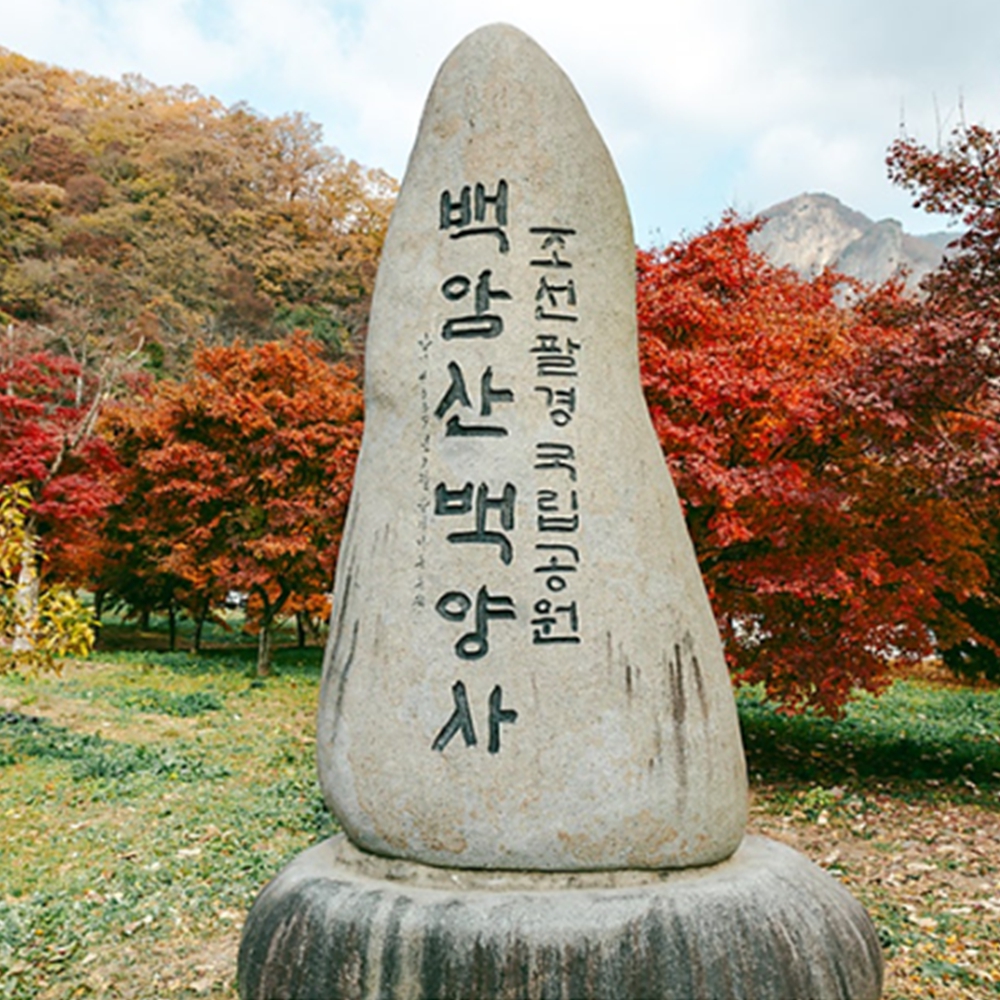 백양사 단풍 절정시기