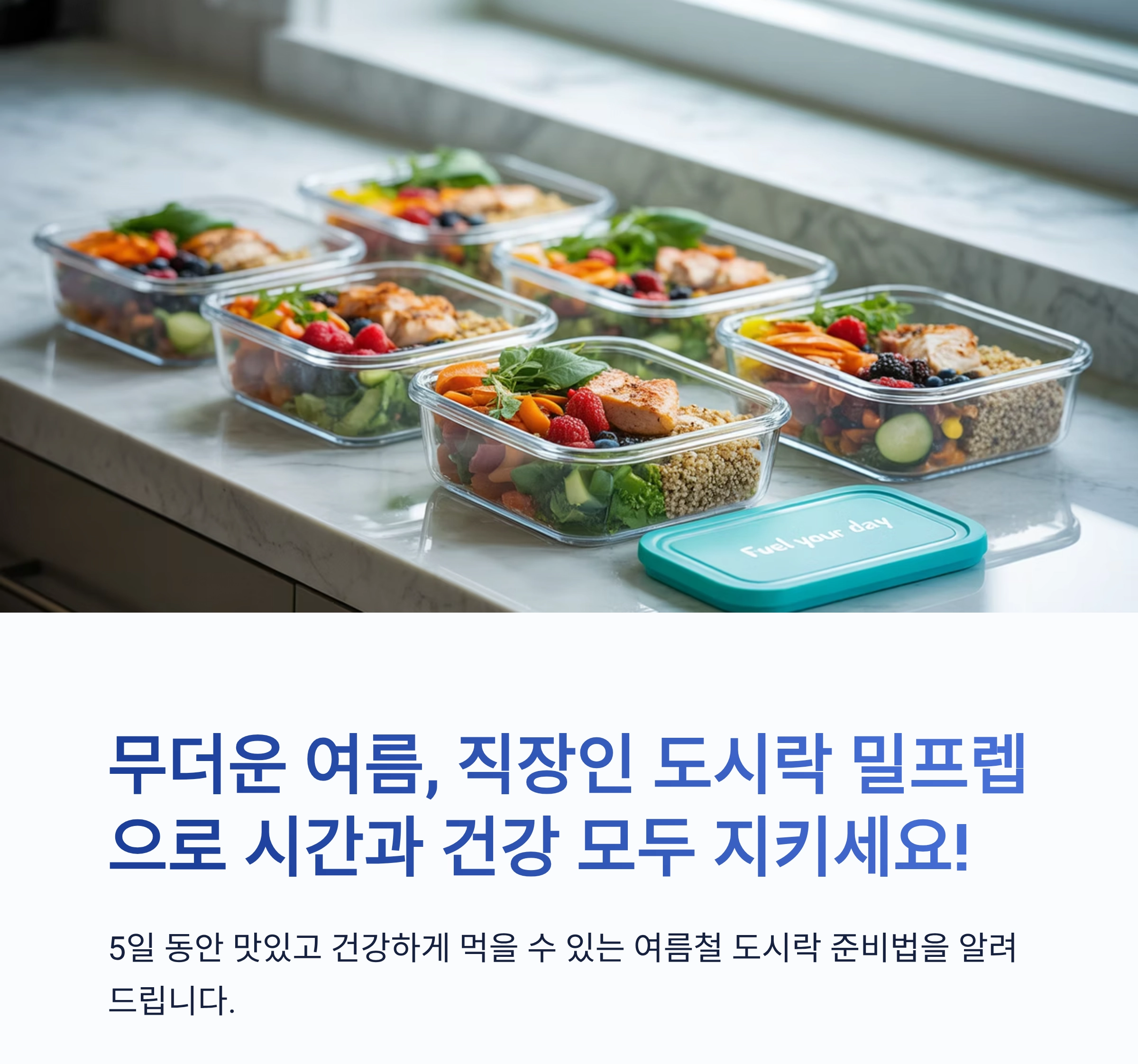 직장인 여름철 5일 도시락 밀프렙, 건강과 시간 절약 동시에