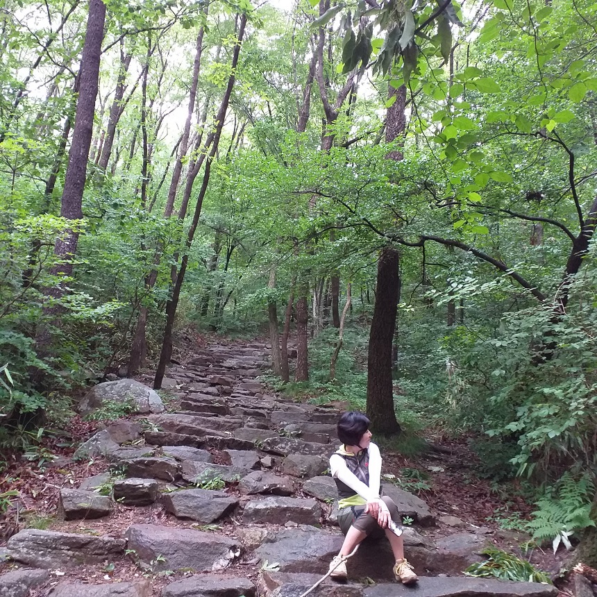 조계산보리밥집