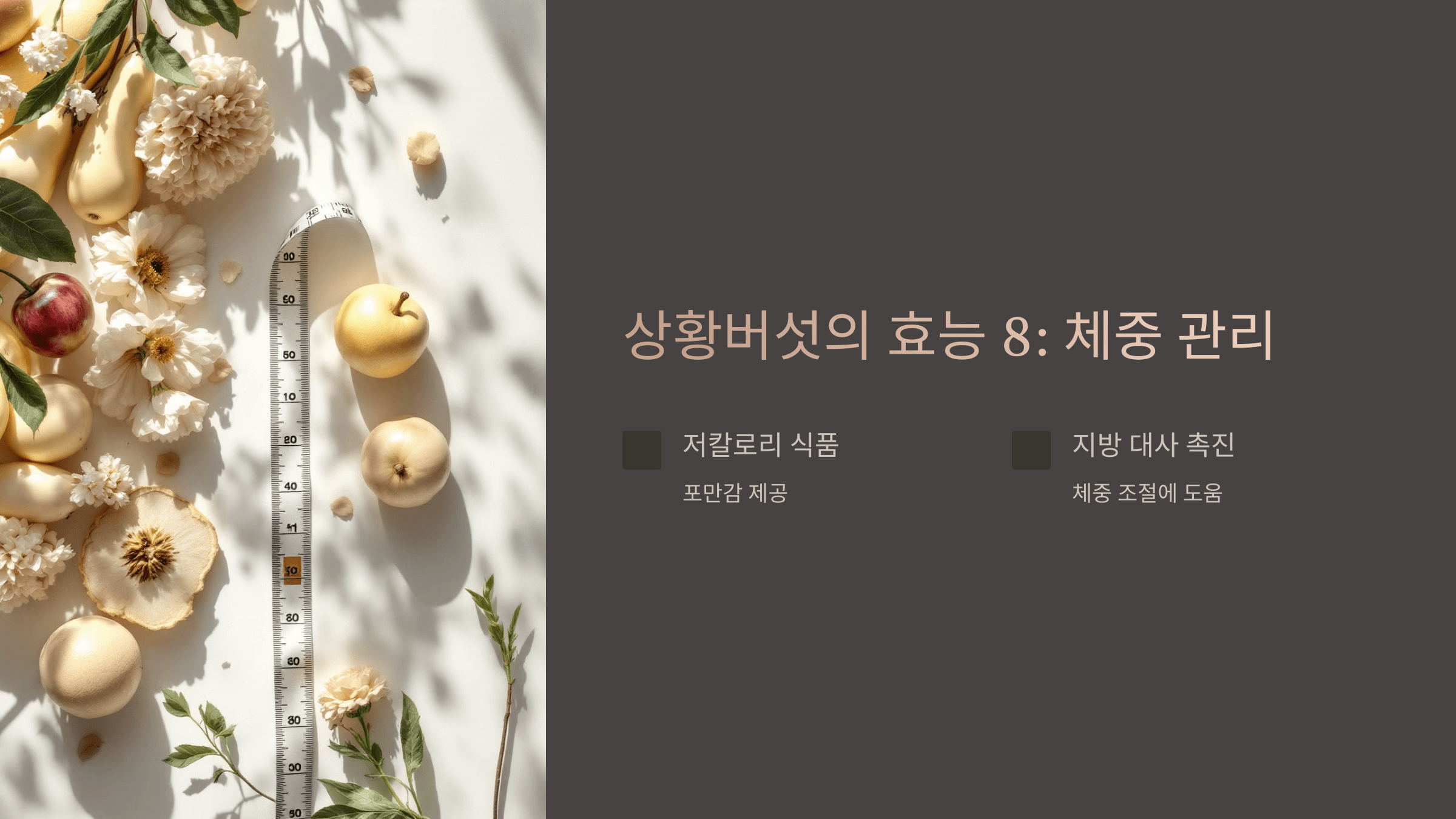 상황버섯과 관련된 사진입니다.