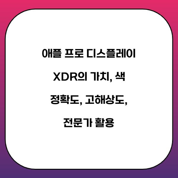 애플 프로 디스플레이 XDR의 가치
