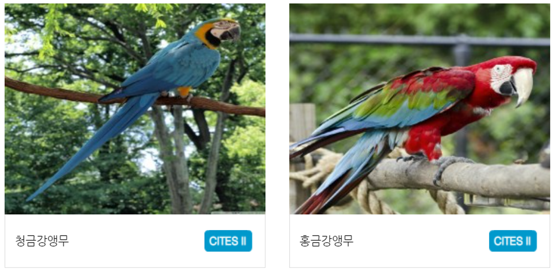 구미 쥬쥬동산