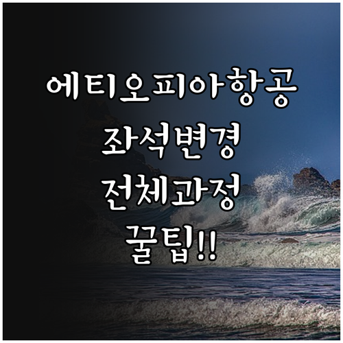 에티오피아항공 홈페이지에서 좌석 변경..