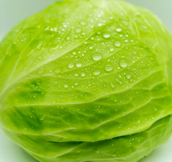 비타민E의 효능