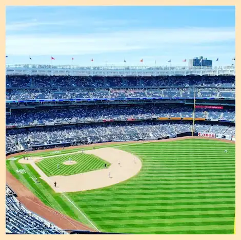 야구 프리미어12 명단