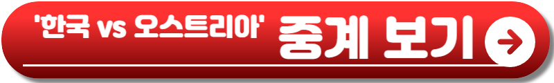 한국 오스트리아 축구