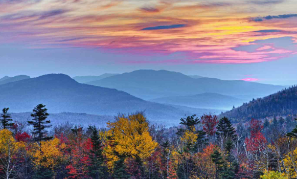 화이트마운틴 국유림 day pass 사기