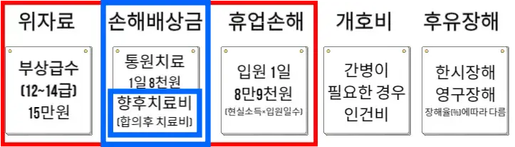합의금-종류5가지중-손해배상금-향후치료비 중요