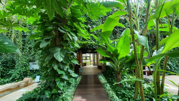 미리내 힐빙 클럽