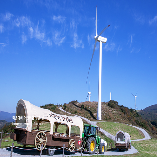 평창 가볼만한곳