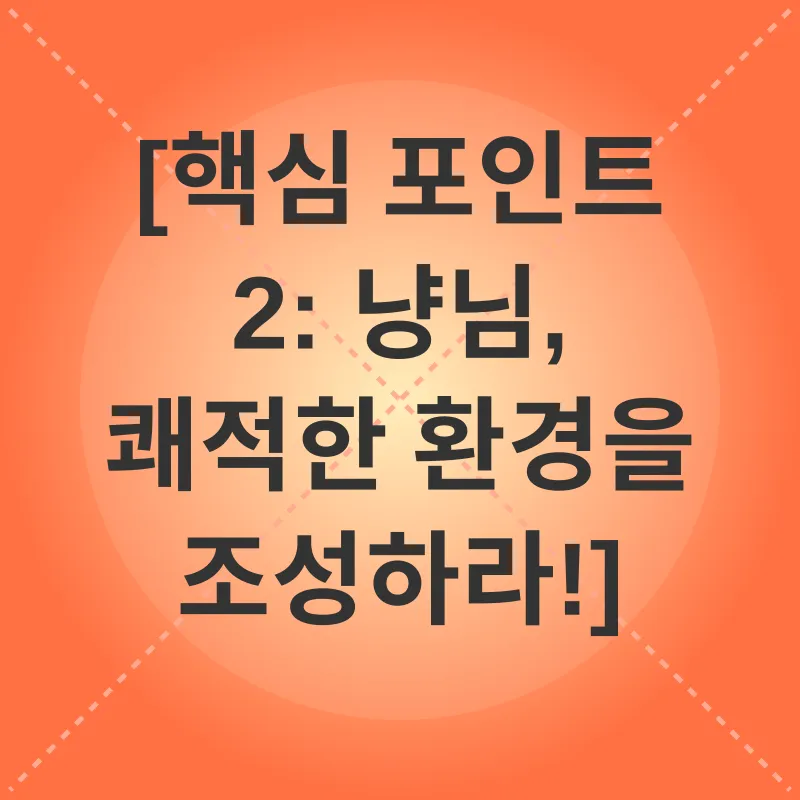 고양이 건강 관리_2