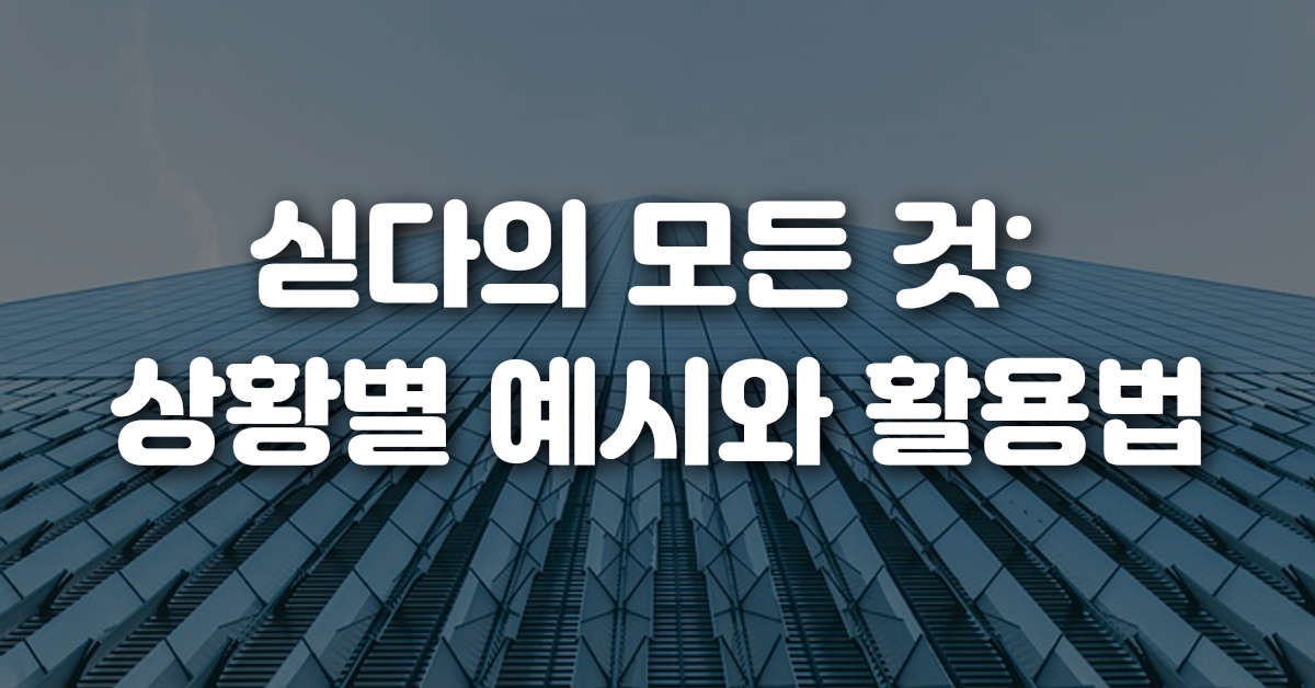 02-싣다의_모든_것_상황별_예시와_활용법