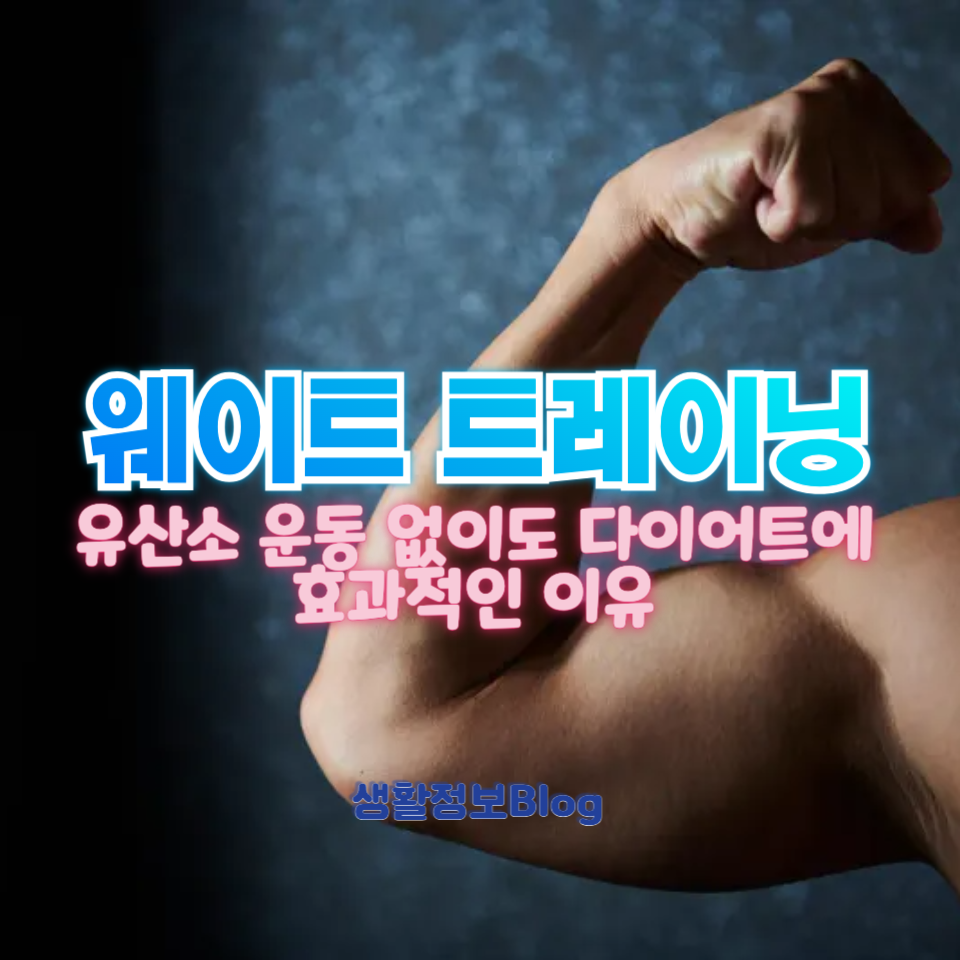 웨이트 트레이닝