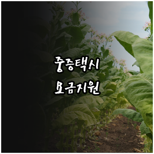 2025년 오산시 중증장애인 택시요금..