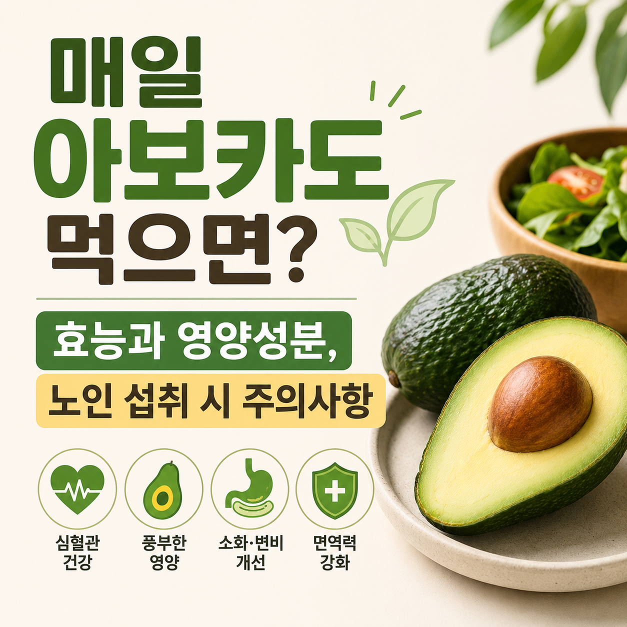 매일 아보카도 먹으면?