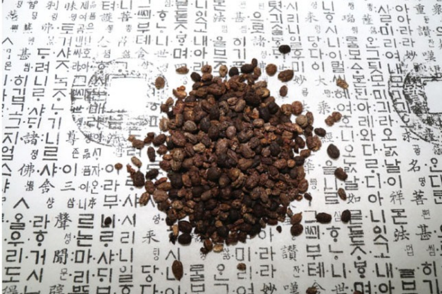 야생에서 채취를 한 사인나무의 씨앗인 사인을 깨끗하게 세척을 한 후에 옛글이 적혀있는 종이 깔판 위에 수북하게 쌓아두고 찍은 사진